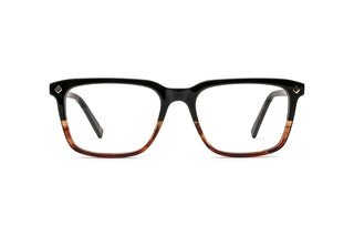 3640101910 Tortoise/Black image-1