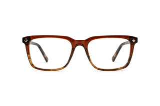 3640101920 Tortoise/Brown image-1