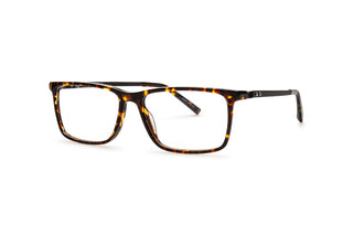 3790101500 Tortoise/Brown image-3