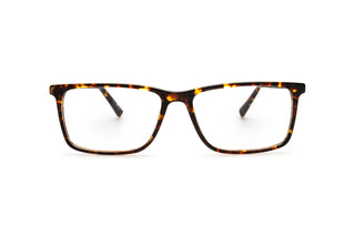 3790101500 Tortoise/Brown image-1