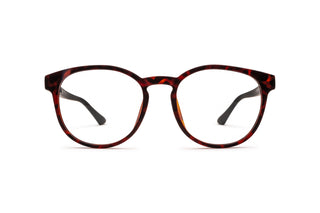 4150100900 Tortoise/Black image-1