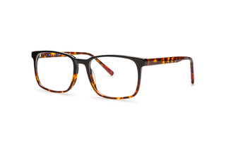 4750300240 Black/Tortoise image-3