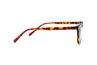 4750300240 Black/Tortoise image-2