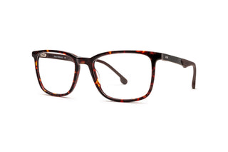 7780400310 Tortoise/Black image-3