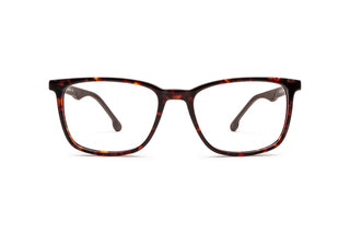 7780400310 Tortoise/Black image-1