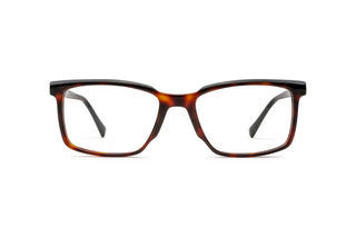 7780400690 Tortoise/Black image-1