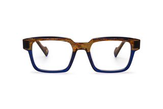 9040101750 Tortoise/Blue image-1