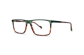 9040102490 Green/Tortoise image-3